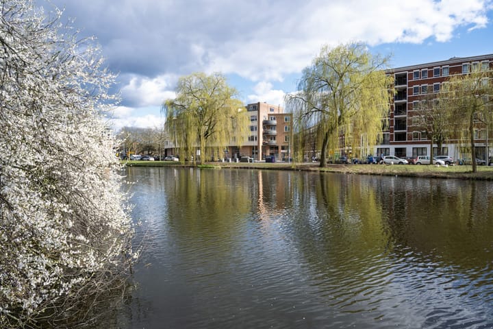 Foto 30 van Schapendreef 399