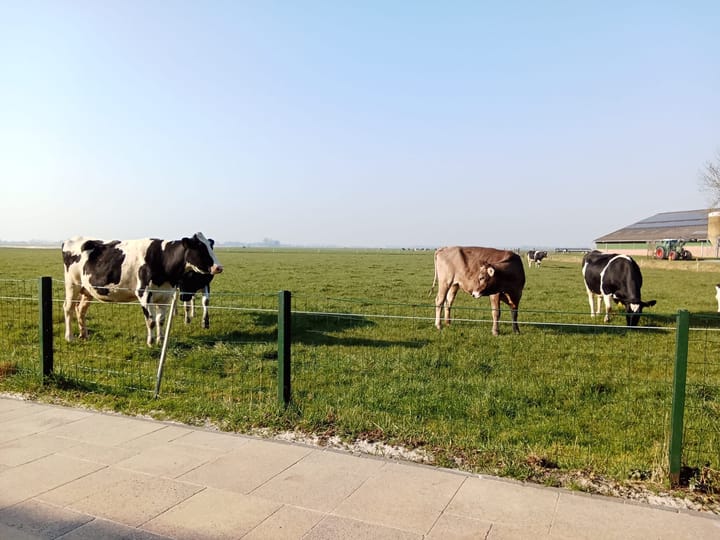 Foto 33 van Koggeweg 2