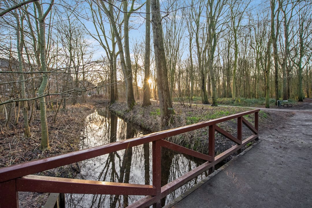 Foto 31 van Muurbloemweg 111