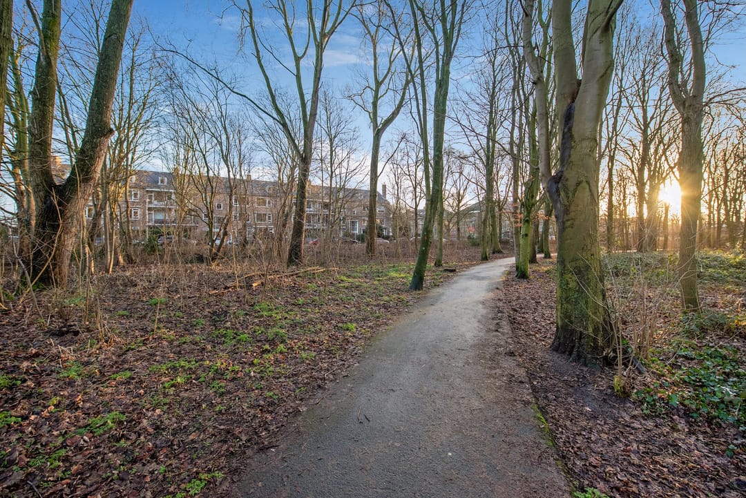 Foto 32 van Muurbloemweg 111