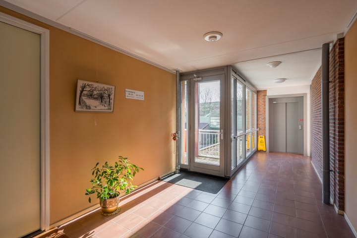 Foto 22 van Meinsstraat 52