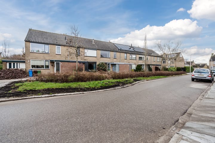 Foto 4 van Vogellaan 59