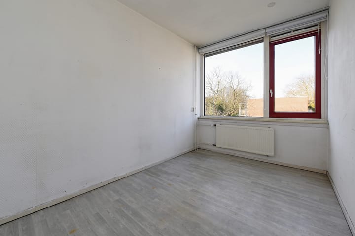 Photo 24 of Opsterland 3