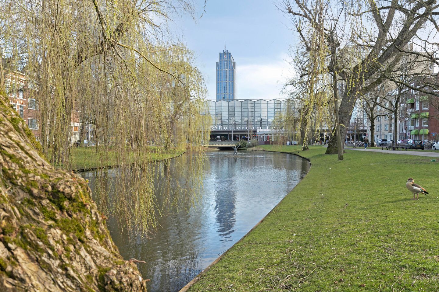 Foto 4 van Jacob Loisstraat 78