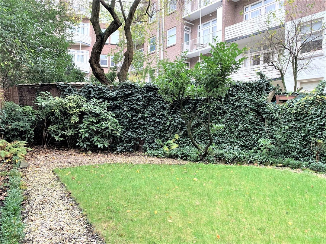 Foto 8 van Apollolaan 93-H