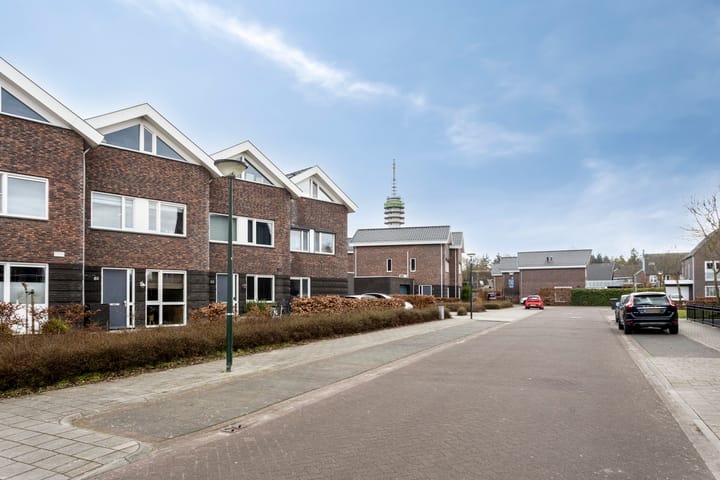 Foto 2 van Leeuwerik 61