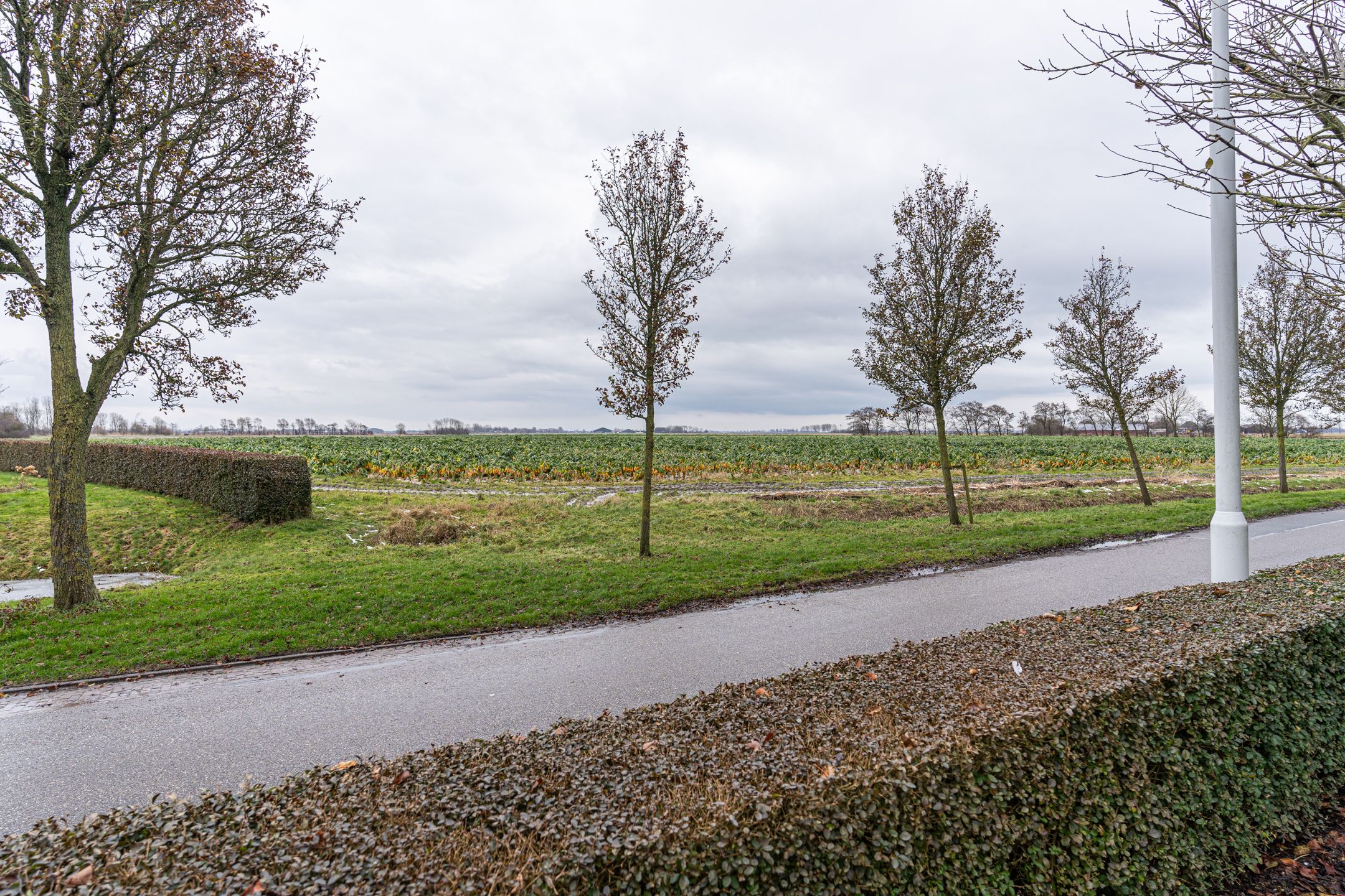 Foto 6 van Ternaarderwei 46