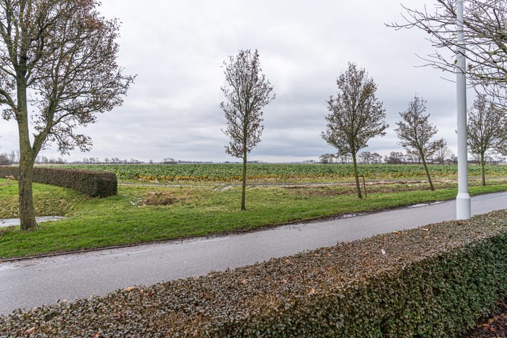 Foto 6 van Ternaarderwei 46