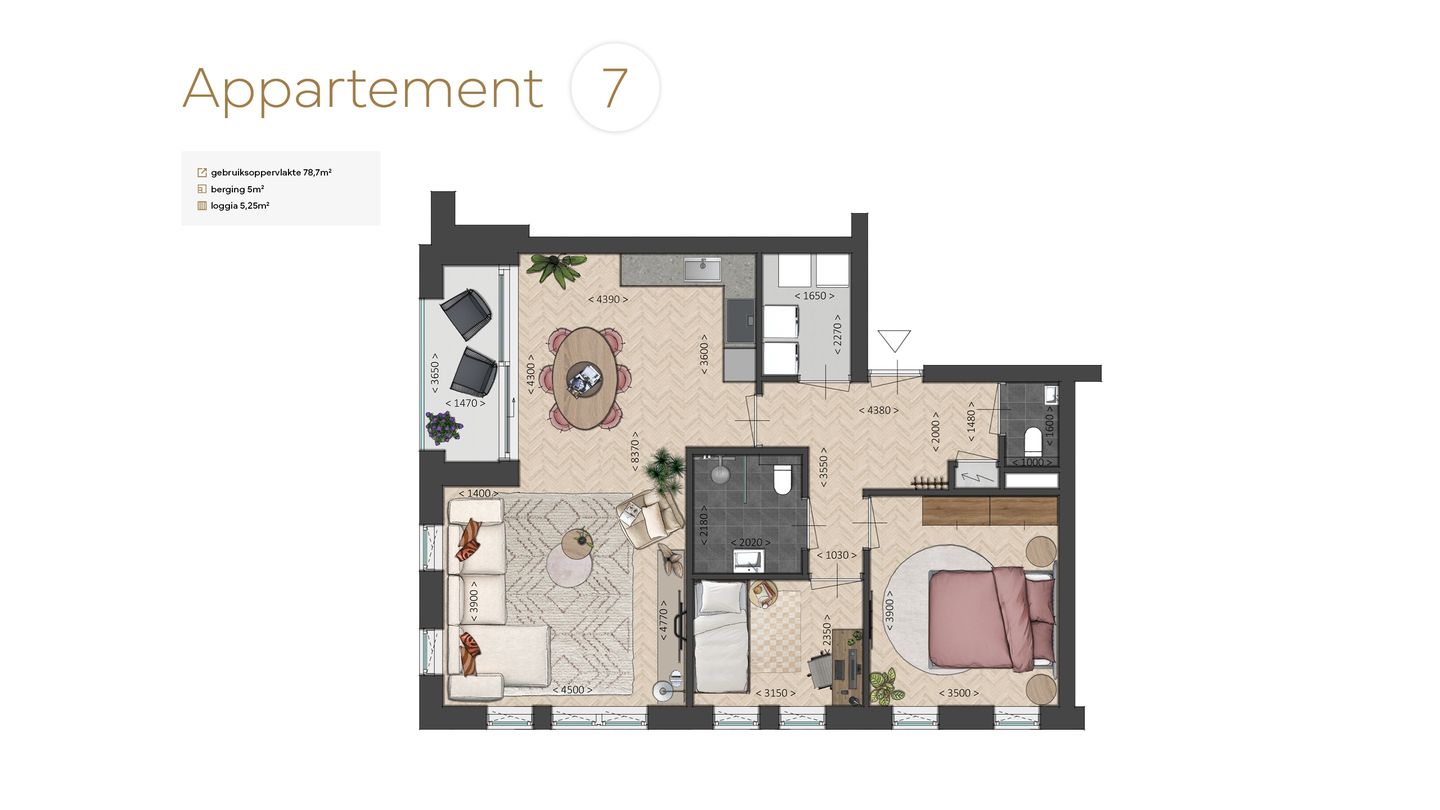 Foto 23 van De Meent