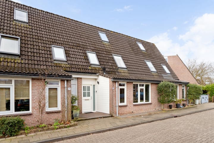 Bekijk foto van Rietmeent 80