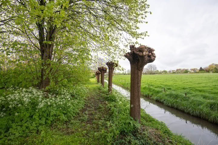 Foto 50 van Dokter Guepinlaan 16