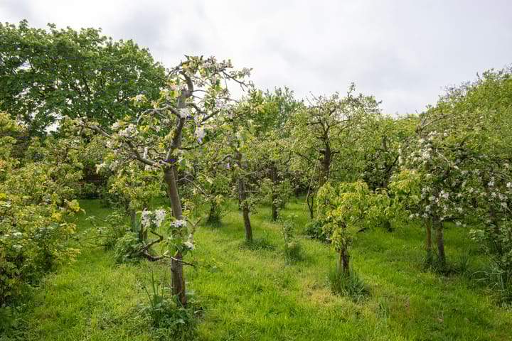Foto 51 van Dokter Guepinlaan 16