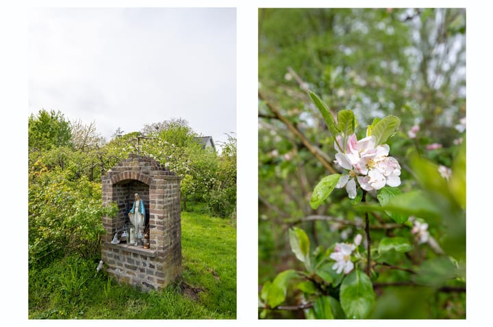 Foto 52 van Dokter Guepinlaan 16
