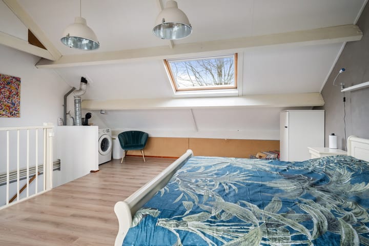 Foto 30 van Houtduif 21