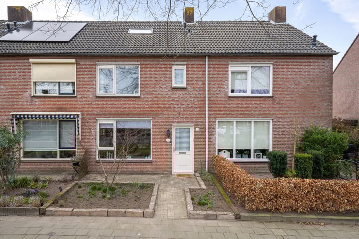 Foto 38 van Houtduif 21