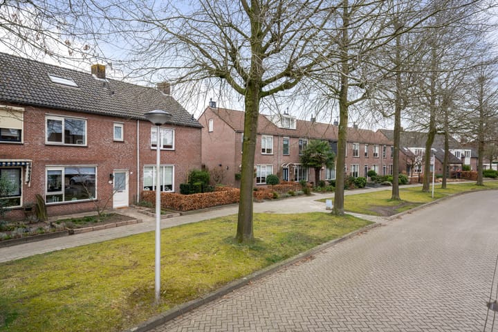 Foto 39 van Houtduif 21