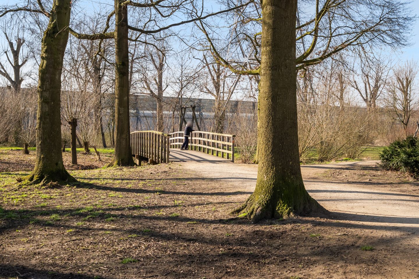 Foto 34 van Fazantenkamp 262