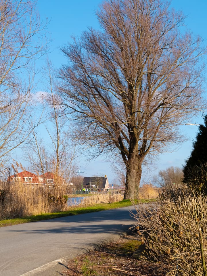 Foto 5 van Zwethkade Zuid 30-A