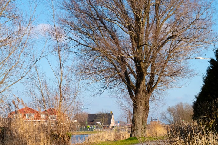 Foto 5 van Zwethkade Zuid 30-A