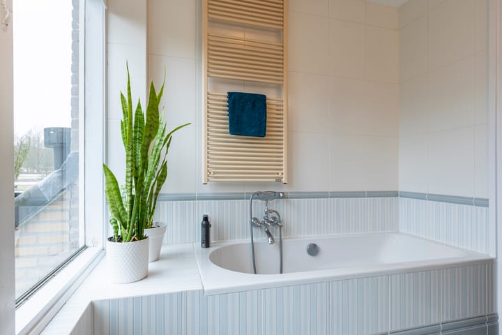 Foto 17 van Anemonelaan 3