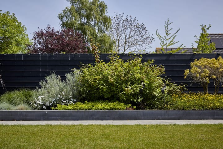 Foto 37 van J. Brasserstraat 31