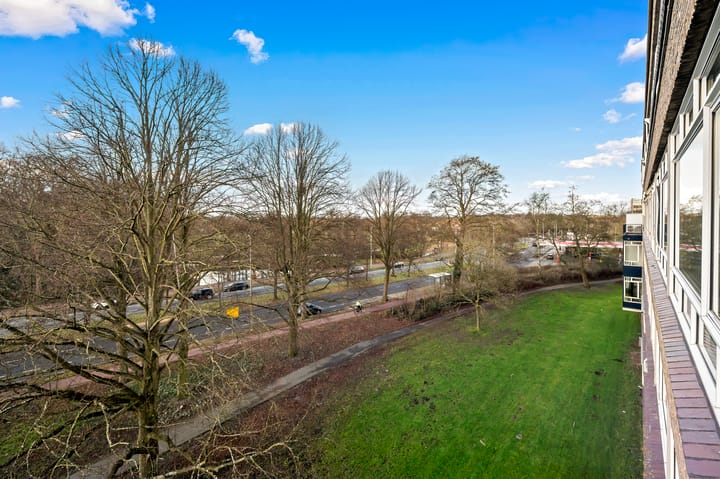 Foto 25 van Smaragdhorst 190