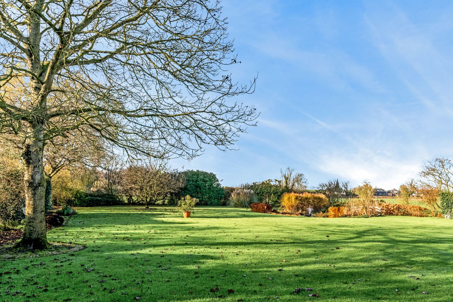 Photo 5 of Haarsteeg 1