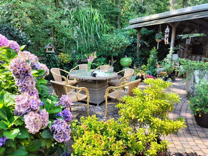 Foto 6 van De Mees 37