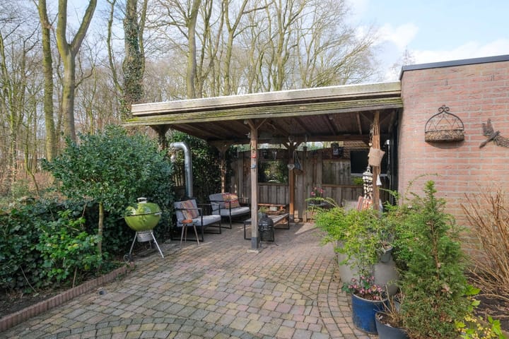 Foto 5 van De Mees 37