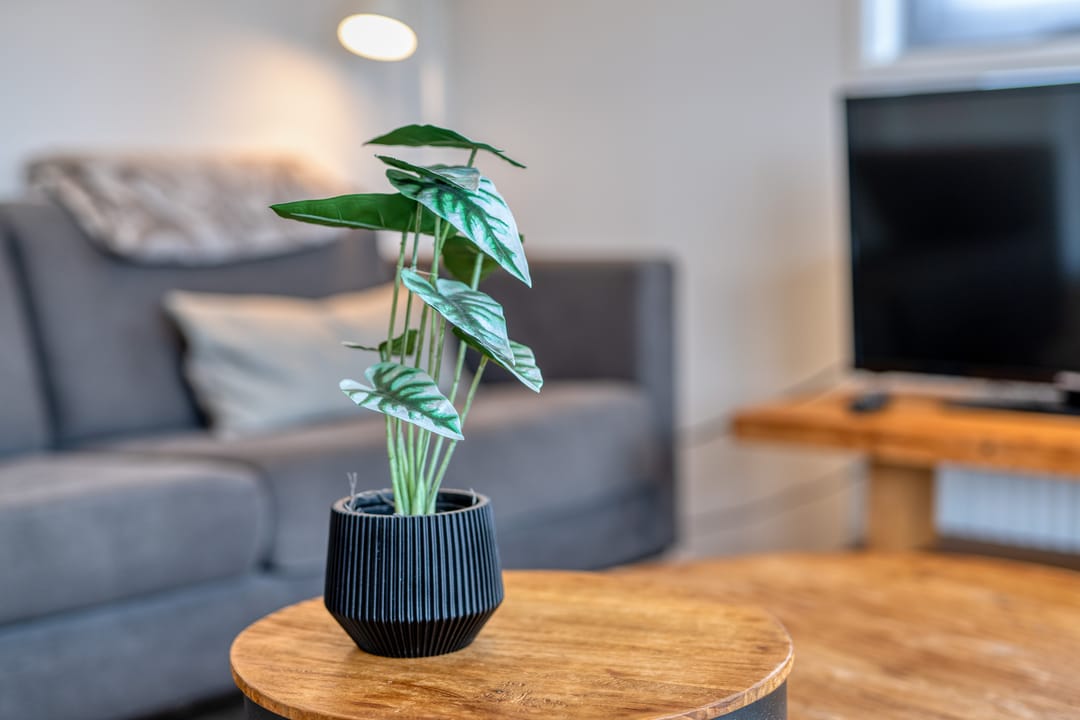 Photo 7 of Berghem 1-B132