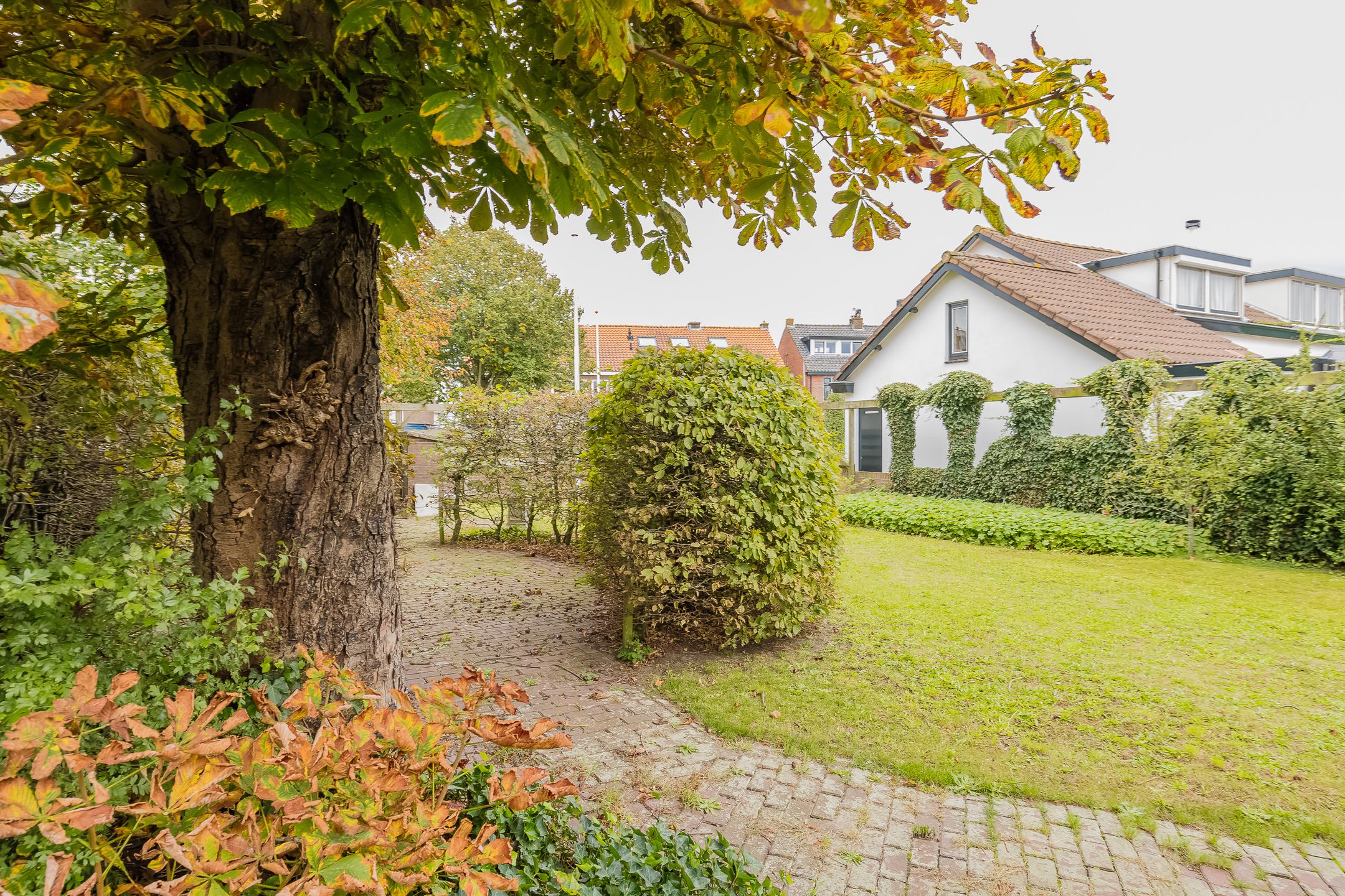 Foto 12 van Wassenaarseweg tussen 8 & 10