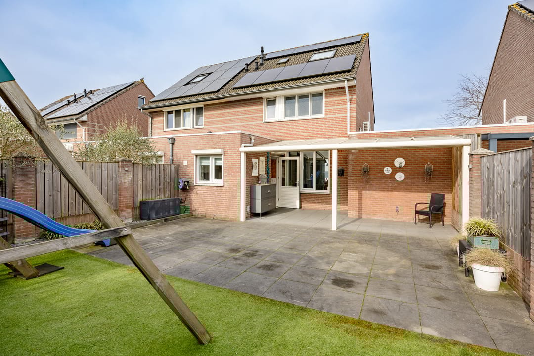 Foto 2 van Penningkruid 34