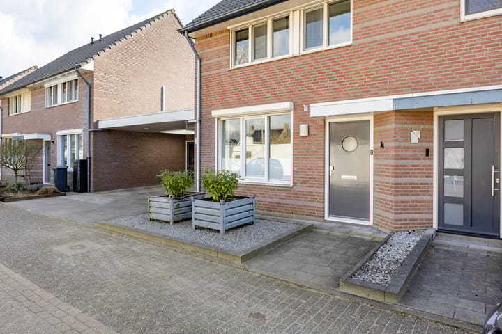 Foto 5 van Penningkruid 34