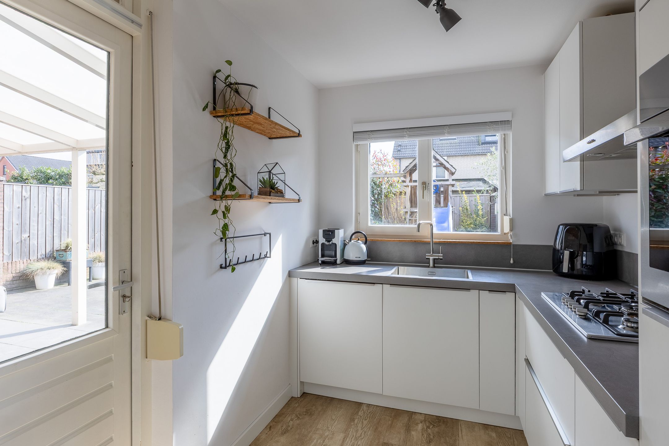 Foto 12 van Penningkruid 34