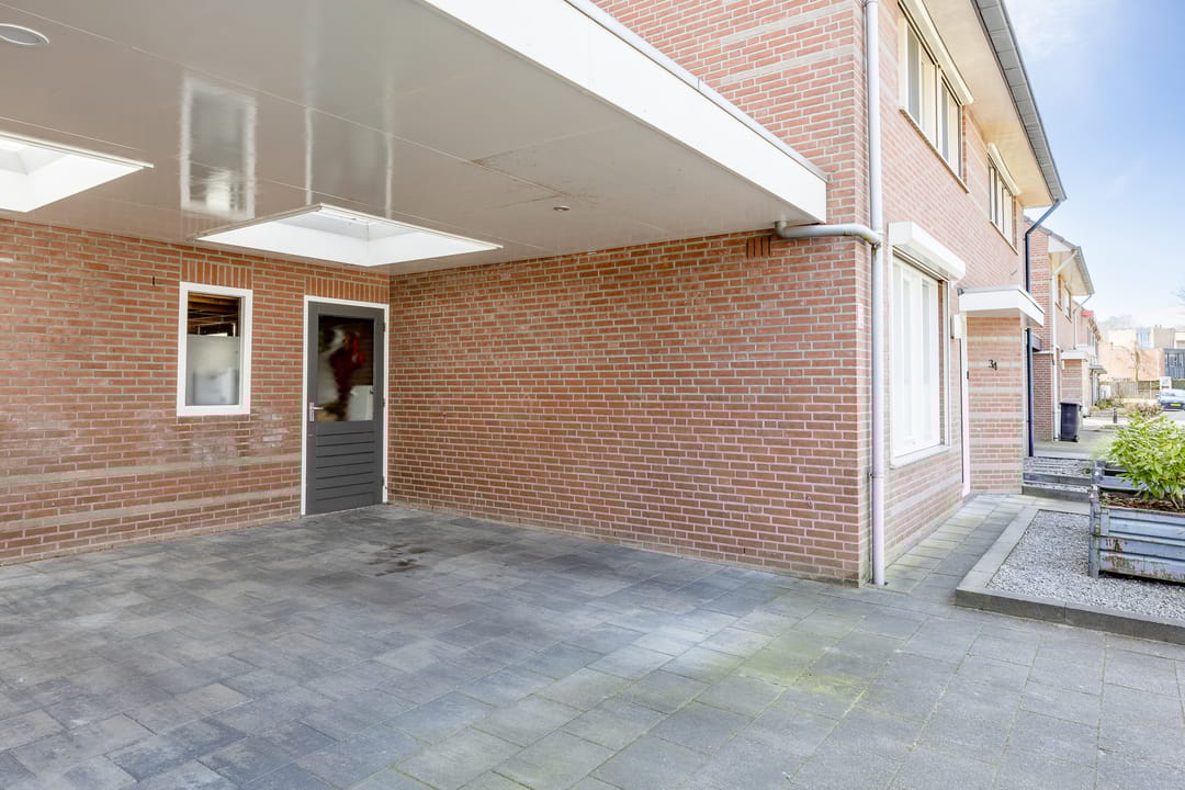 Foto 31 van Penningkruid 34