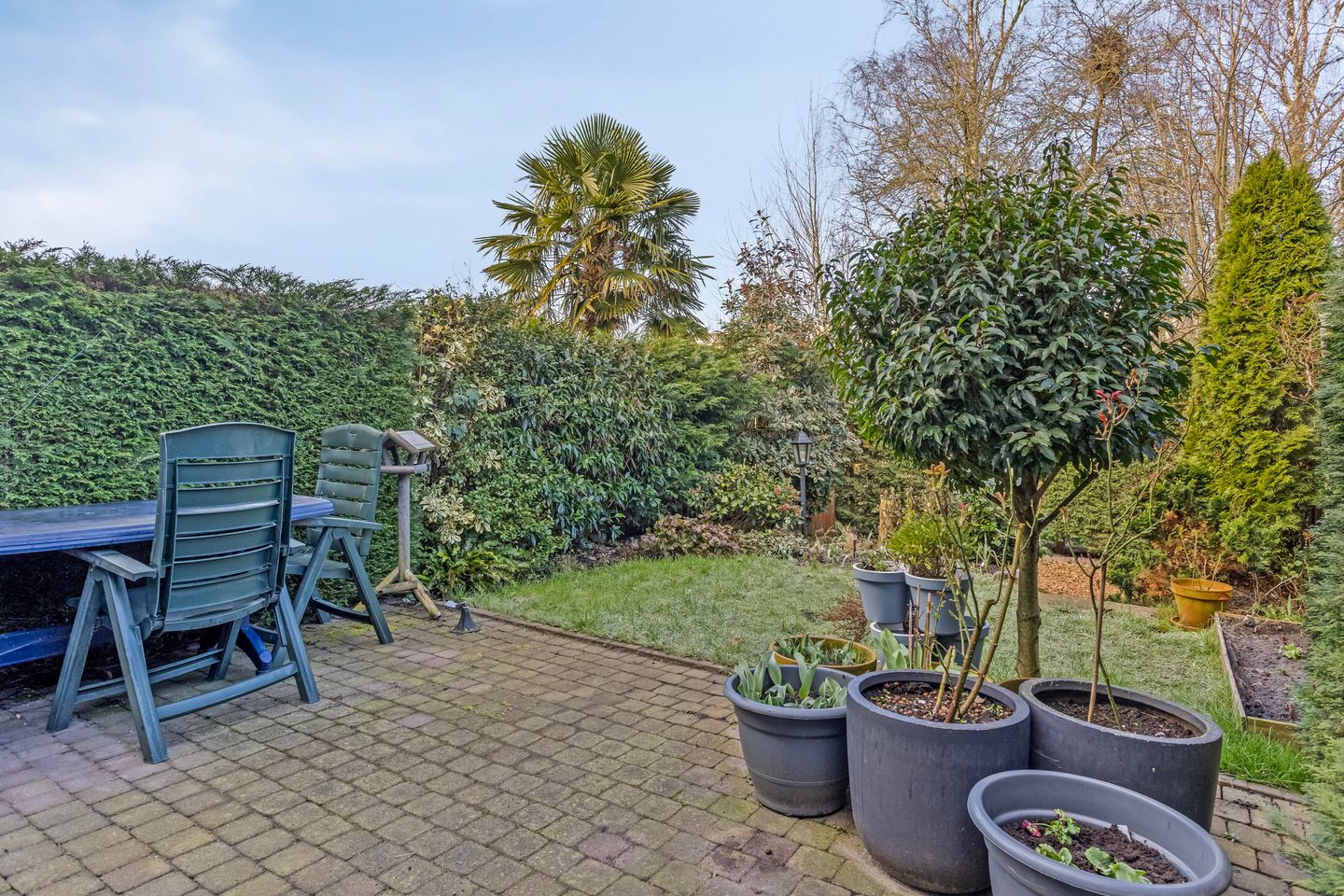 Photo 29 of De Elzen 64