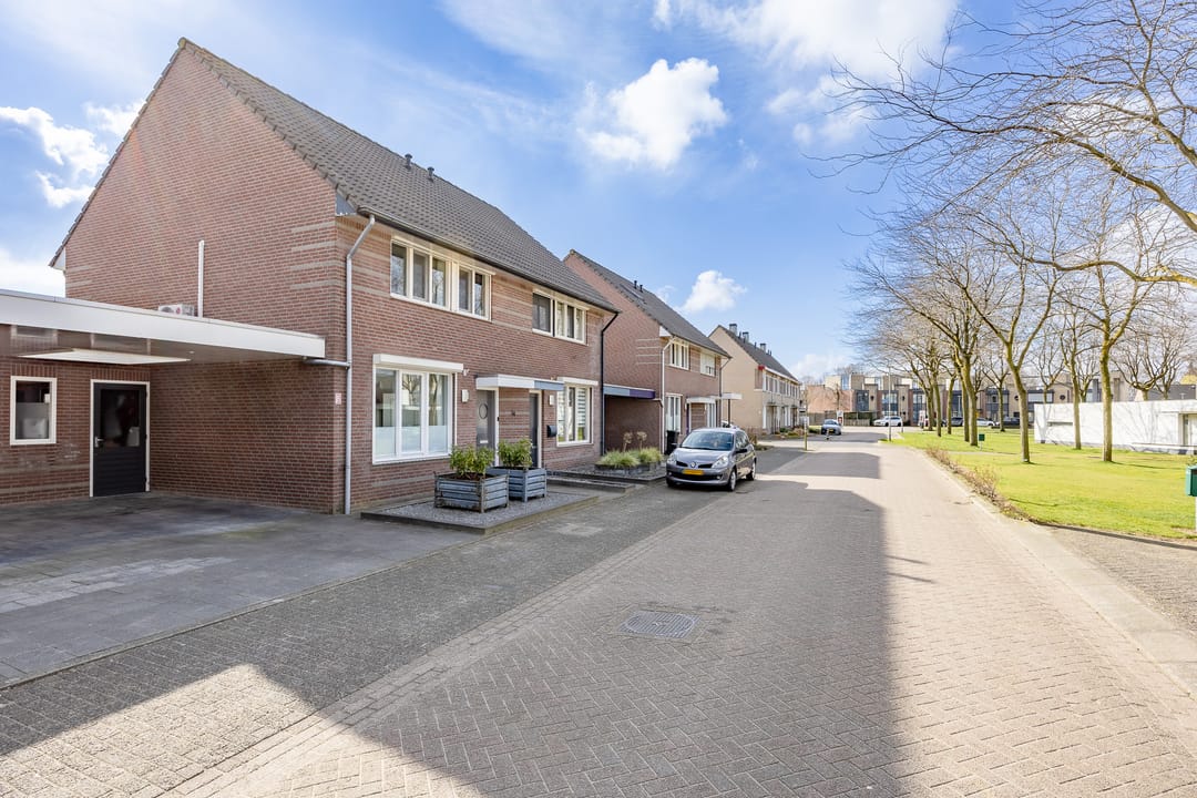 Foto 32 van Penningkruid 34