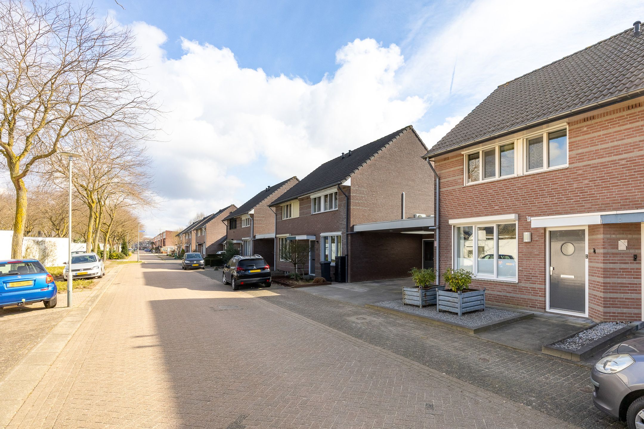 Foto 33 van Penningkruid 34