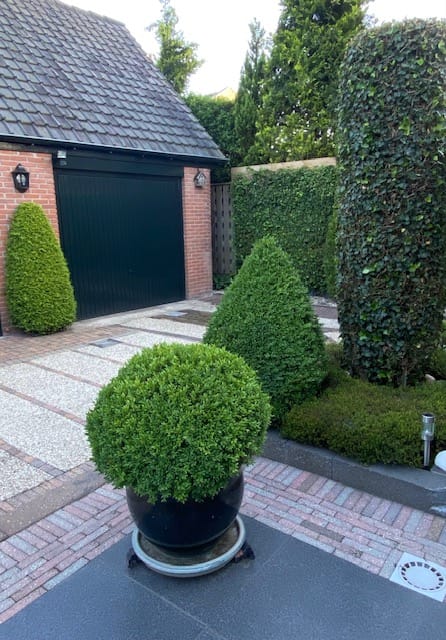 Foto 42 van Sumatralaan 53