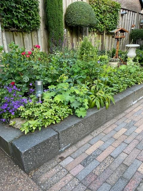 Foto 43 van Sumatralaan 53