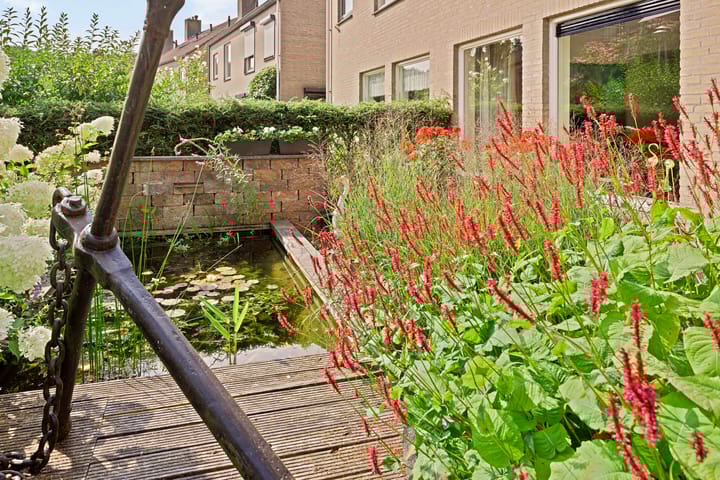 Foto 6 van Hanselaarmate 76