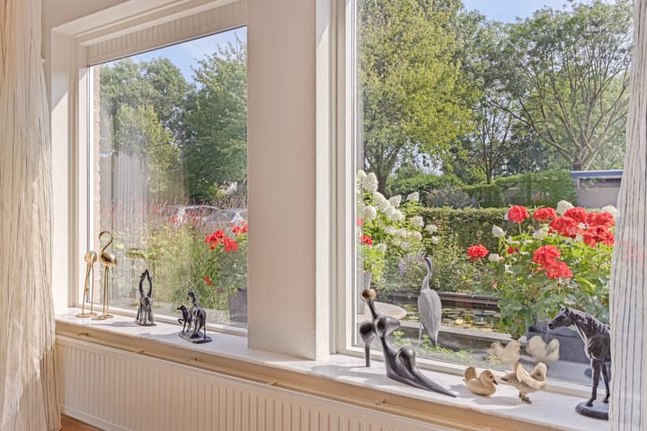 Foto 12 van Hanselaarmate 76