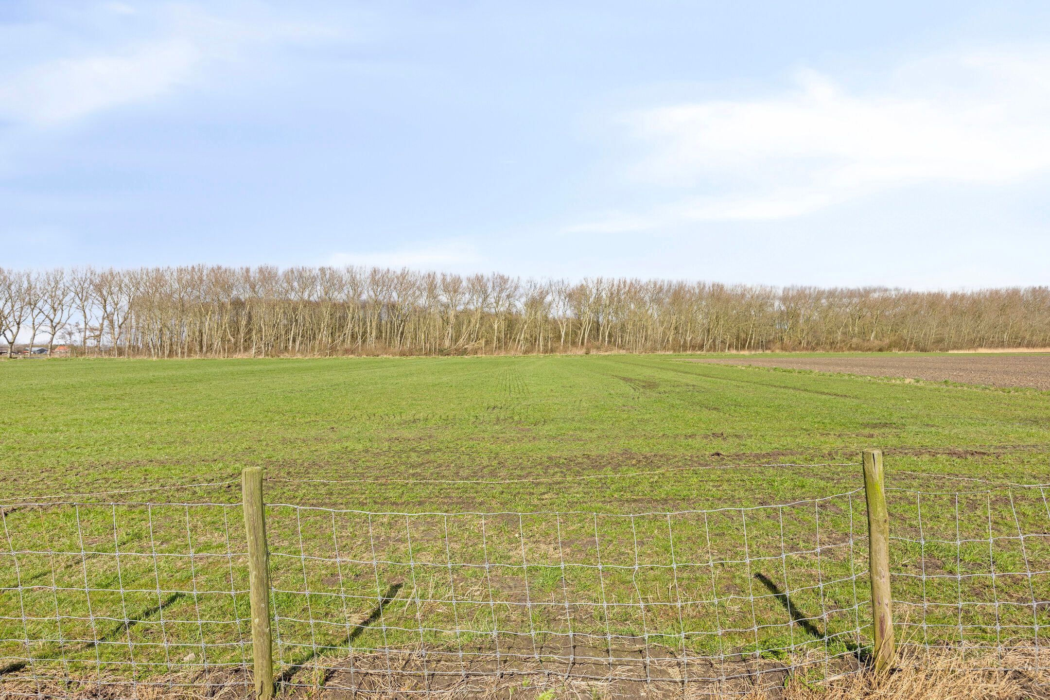 Foto 21 van Voet- of Kraagweg 18