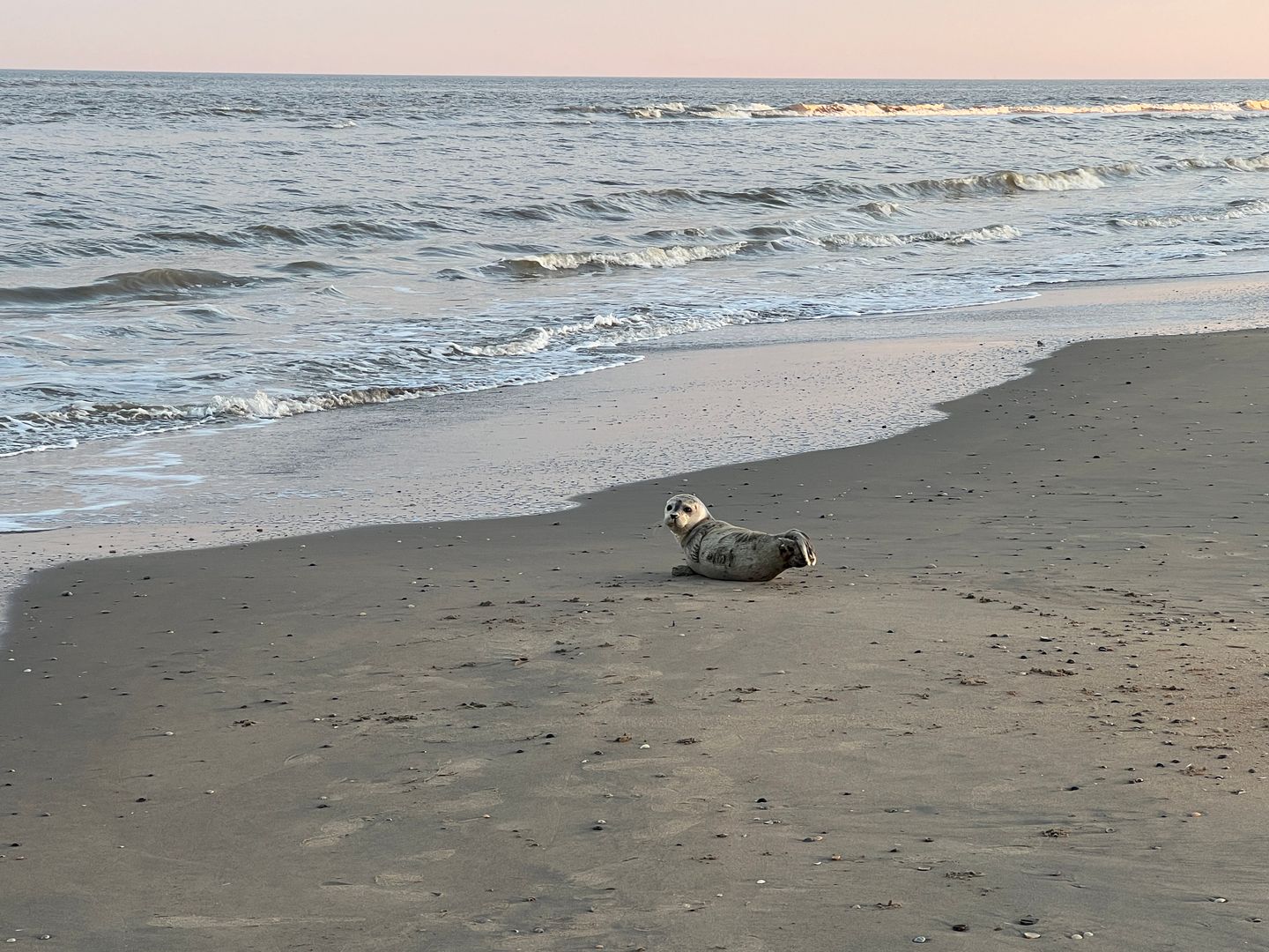 Foto 64 van Oosterparkstraat 28