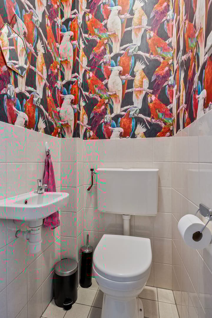 Foto 8 van Pastoor Bosstraat 57