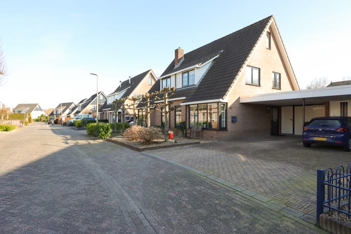 Foto 6 van Duifkruid 35