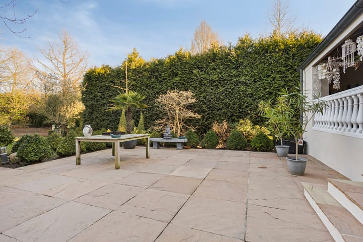 Photo 57 of Schaafdries 60