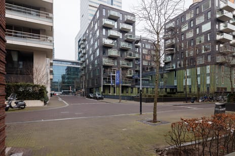 undefined main image