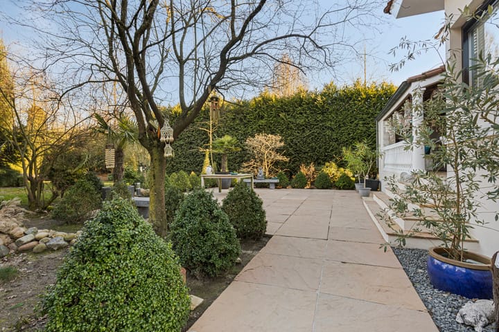 Photo 59 of Schaafdries 60