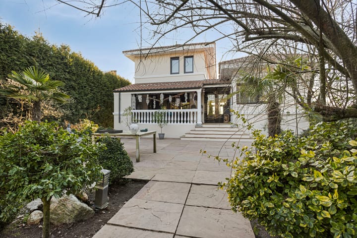 Photo 60 of Schaafdries 60